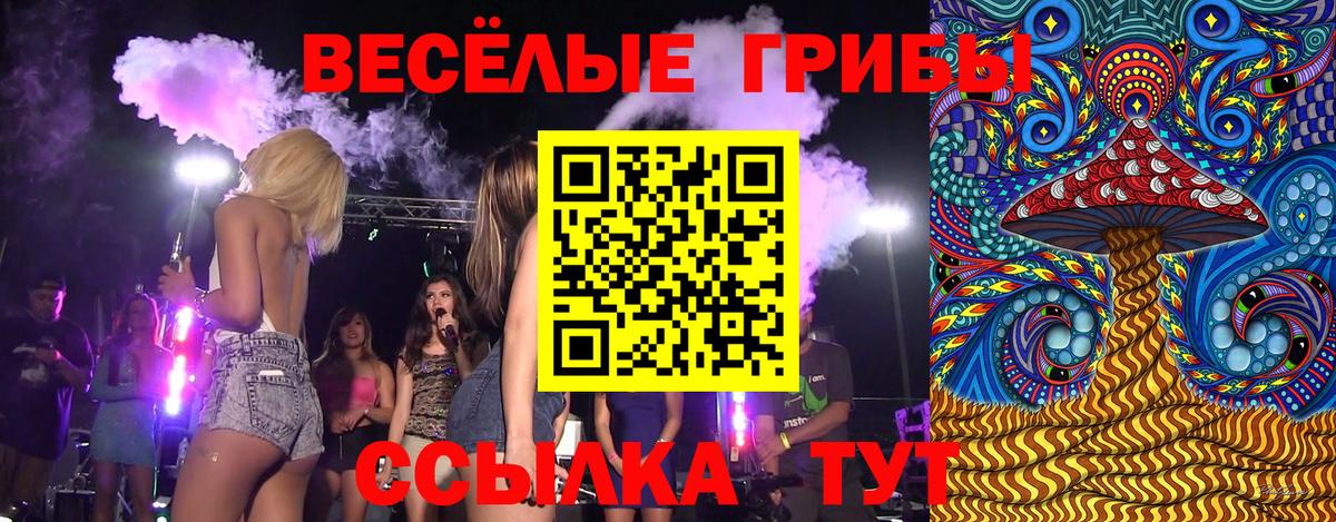Псилоцибиновые грибы Psilocybine cubensis  Галлюциногенные грибы Cubensis  Вход с VPN  Сочи 