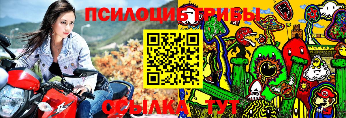 Галлюциногенные грибы Psilocybe Сочи